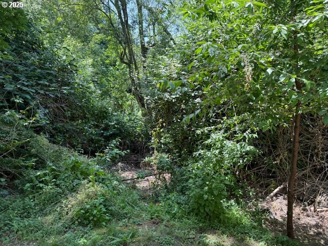 275 Northeast Scott Drive Gresham, OR 97030 - Photo 25 of 27 an aerial view of residential house with outdoor space and trees all around