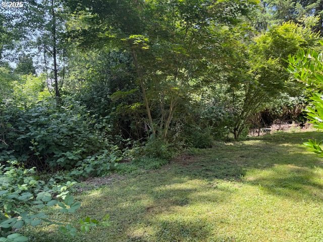 275 Northeast Scott Drive Gresham, OR 97030 - Photo 26 of 27 a view of outdoor space and trees
