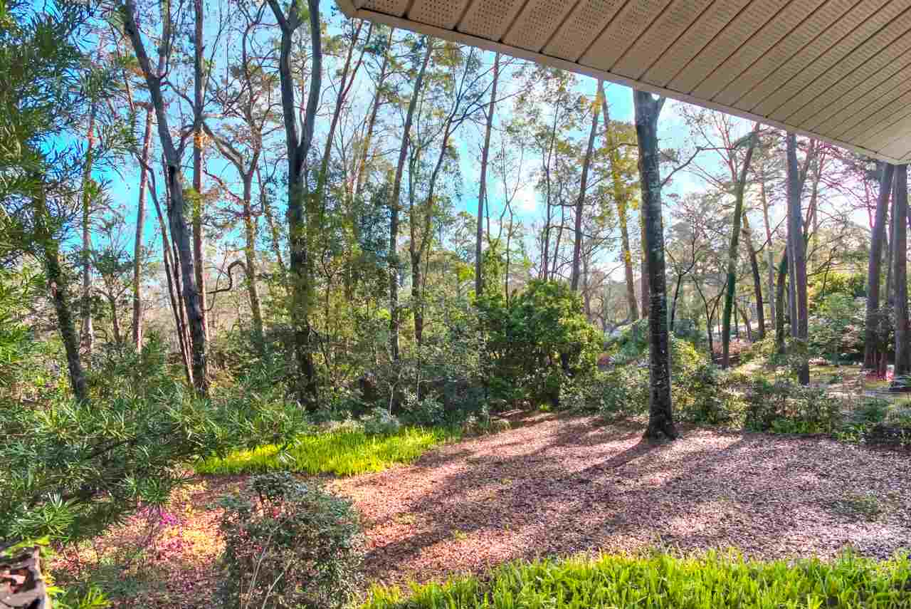 1104 Ivanhoe Road Tallahassee, FL 32312 - Photo 5 of 36 Gallery Image 5