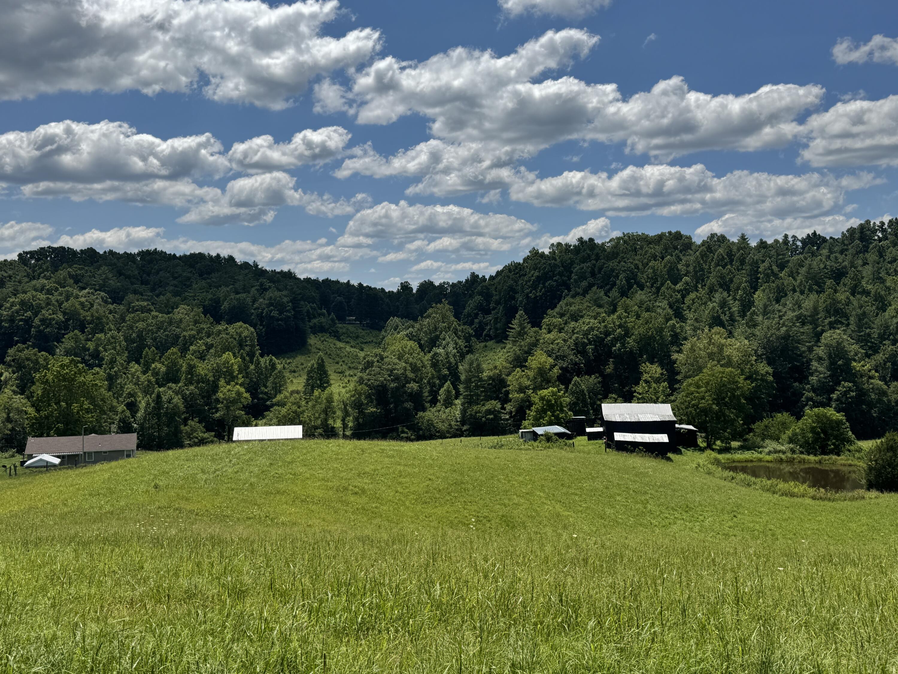 256 Calaboose-Rocky Branch Road Campton, KY 41301 - Photo 23 of 44 IMG_5670