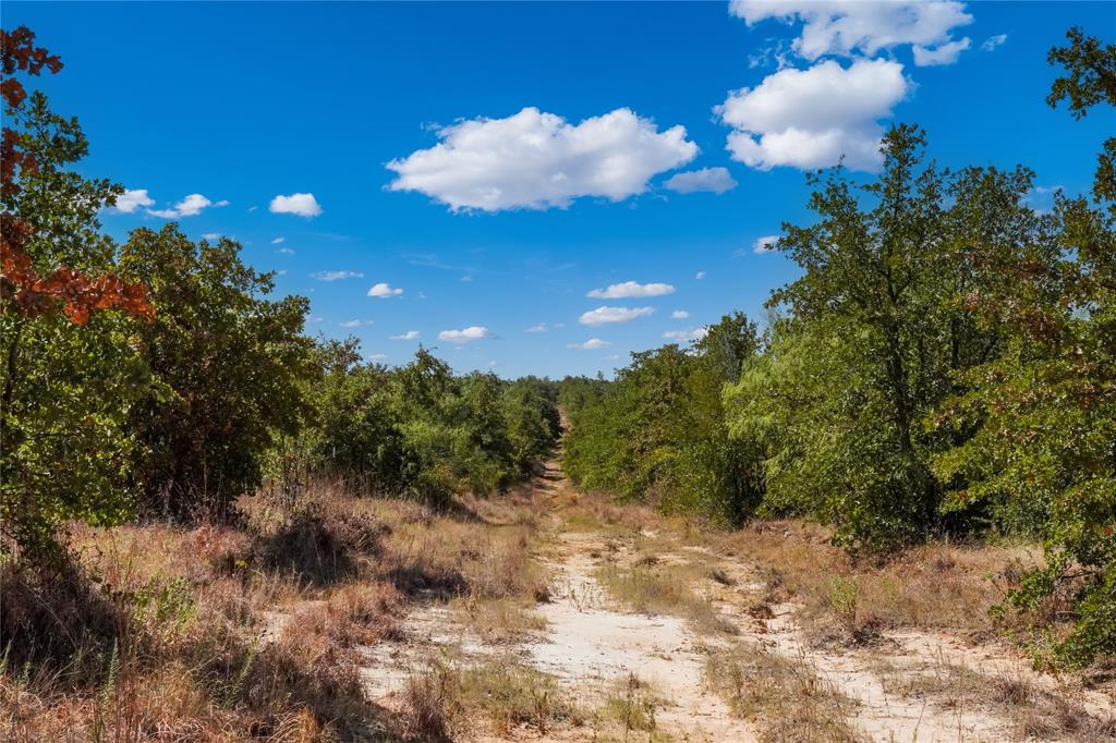 Two 2 Bush Road Perrin, TX 76486 - Photo 31 of 40 Gallery Image 31