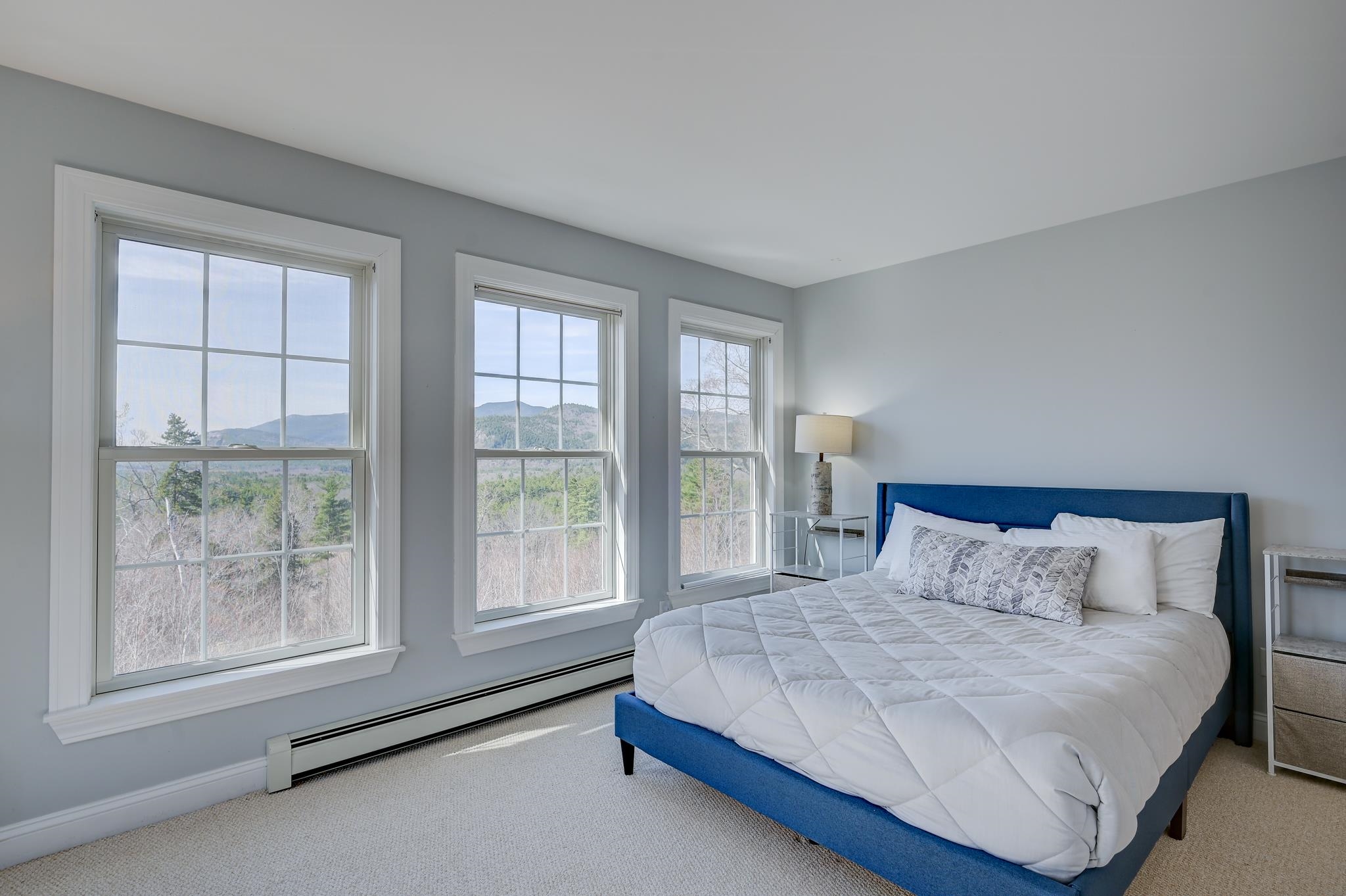 15 Beechwoods Road Intervale, NH 03845 - Photo 31 of 46