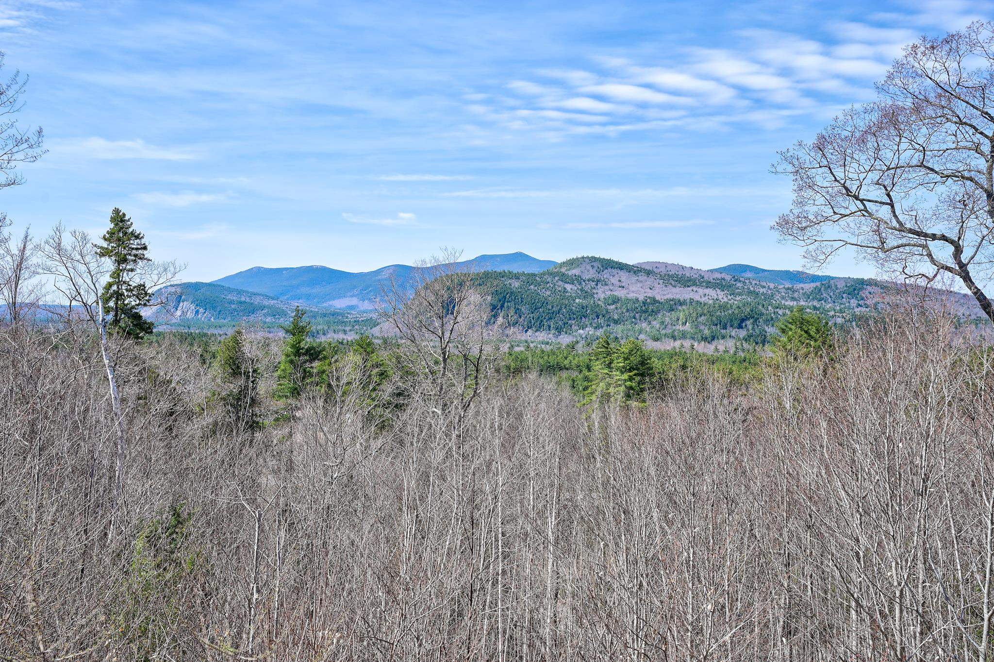 15 Beechwoods Road Intervale, NH 03845 - Photo 46 of 46