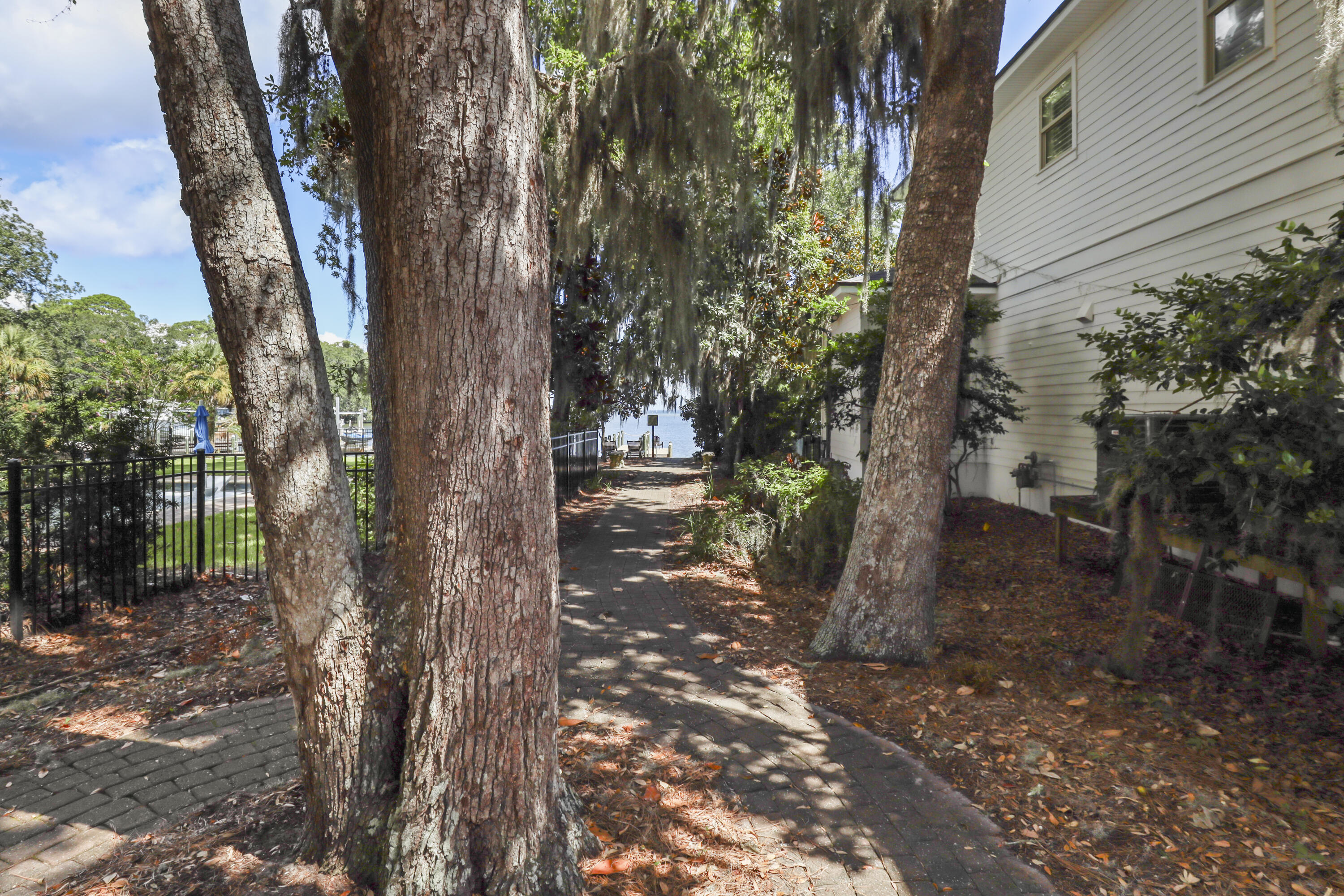 159 Beacon Point Drive Santa Rosa Beach, FL 32459 - Photo 57 of 57 a view of a trees with a tree
