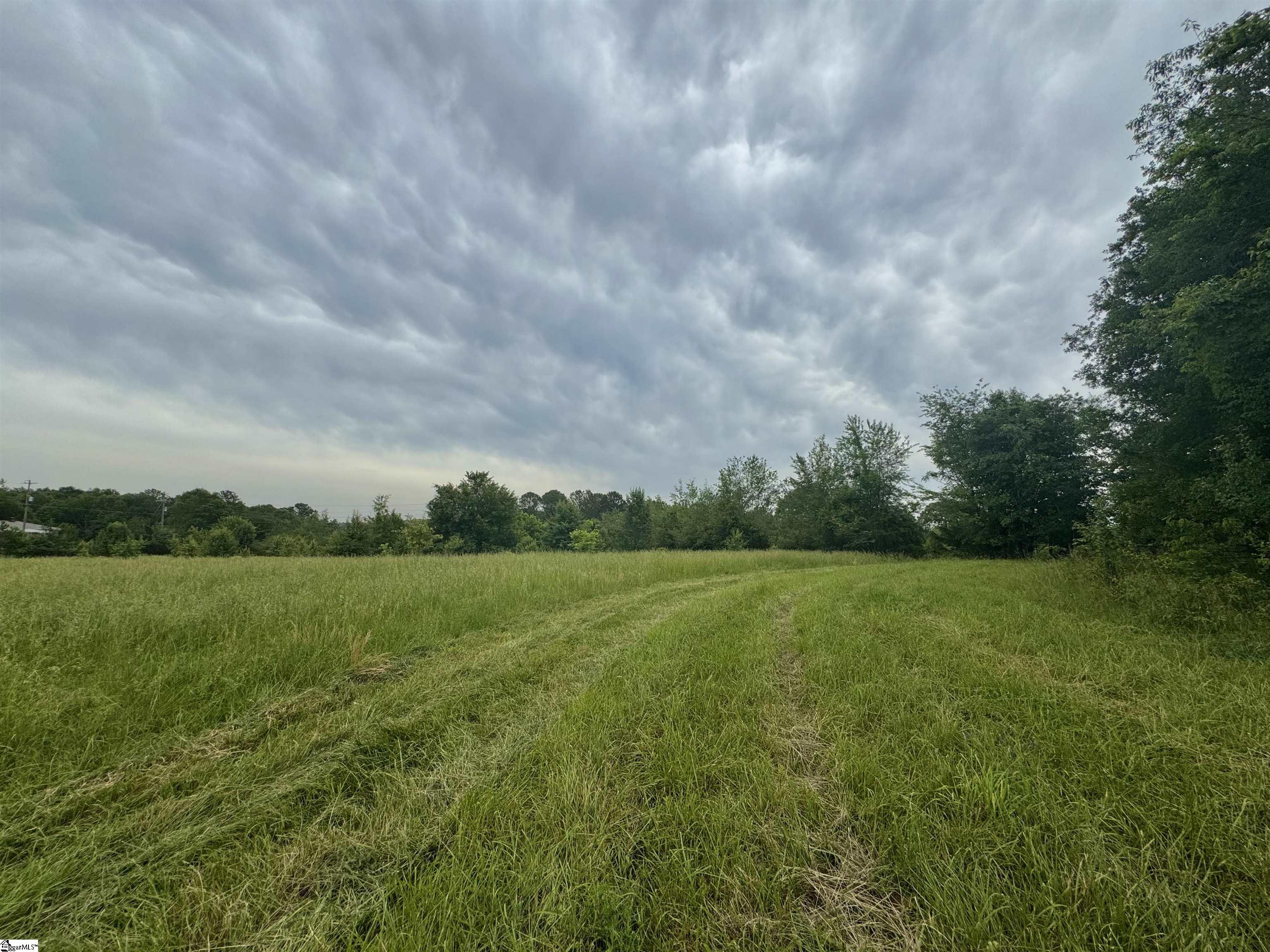 0 Ruhamah Road Liberty, SC 29657 - Photo 3 of 3