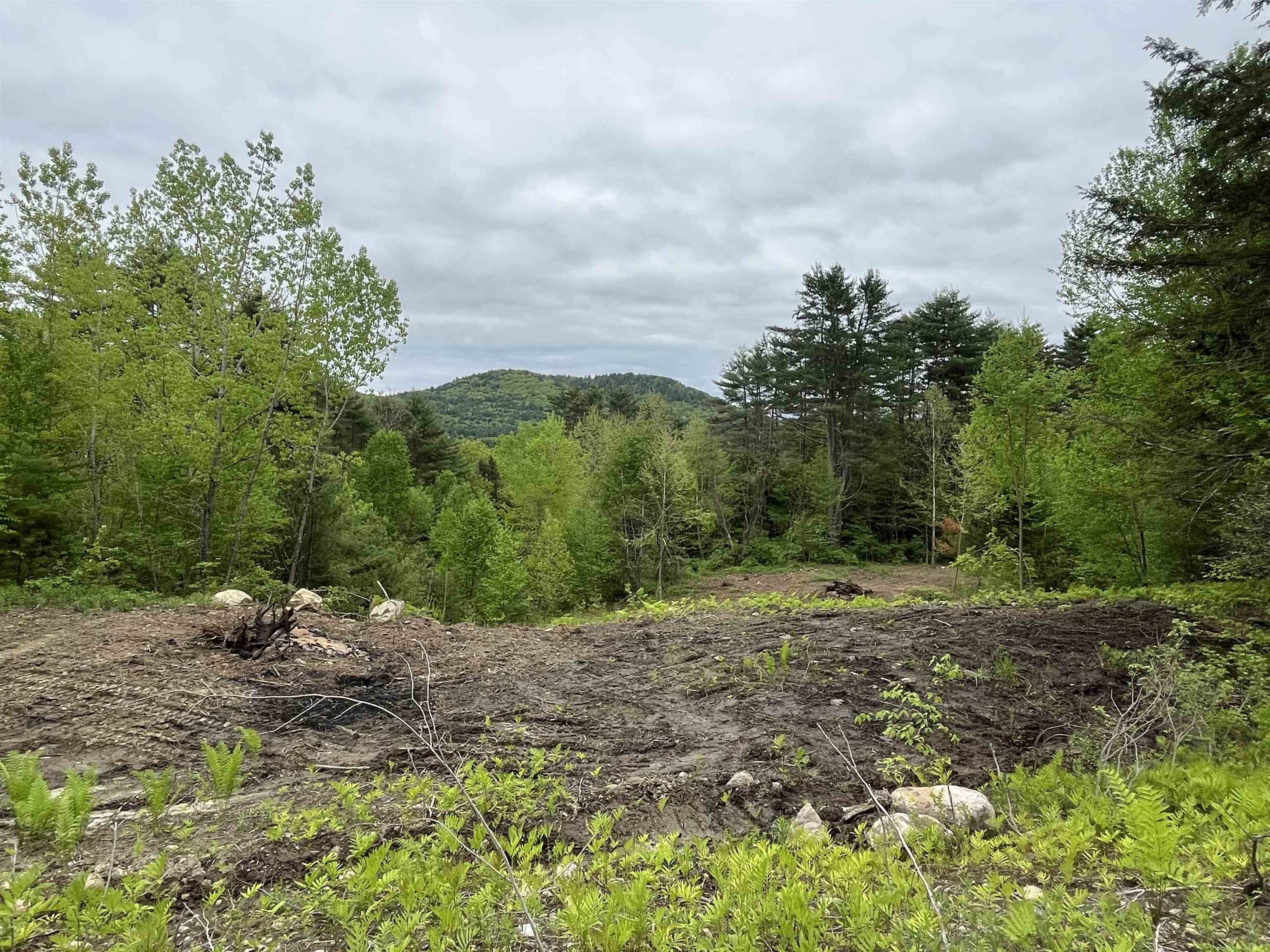 0 Remington Road, Unit 8 Chester, VT 05143 - Photo 3 of 6