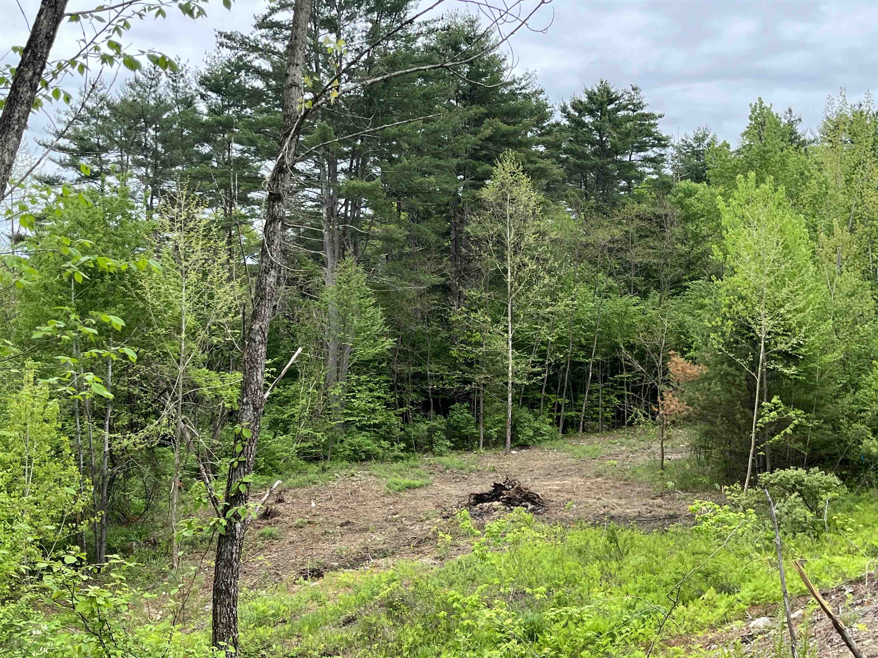 0 Remington Road, Unit 8 Chester, VT 05143 - Photo 6 of 6