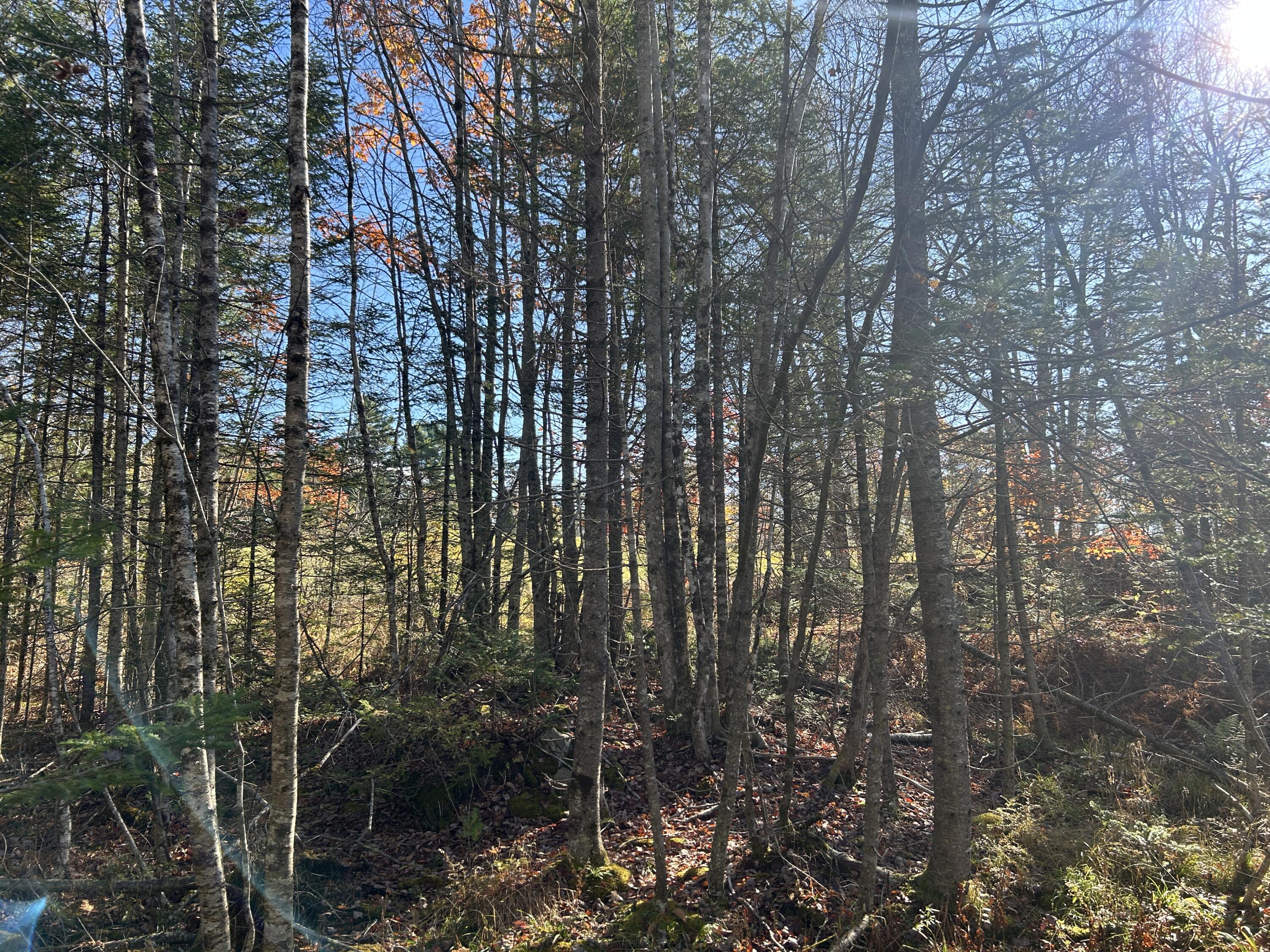 Lot A Waldoboro Road Washington, ME 04574 - Photo 8 of 12 D5C4CA0B-D39F-49E7-8015-17443B989CD3