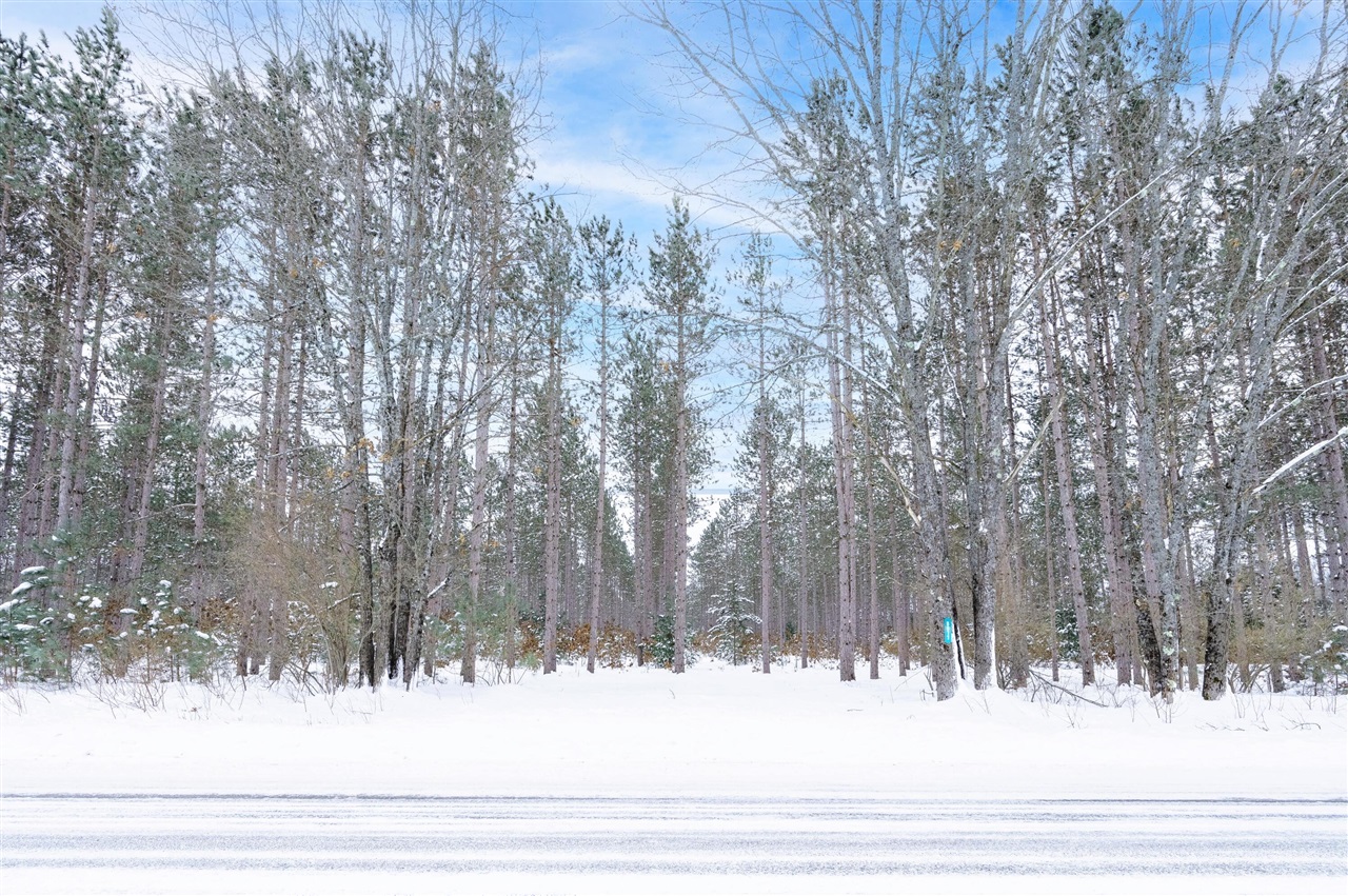 8 West 8 Mile Road Free Soil, MI 49411 - Photo 1 of 9
