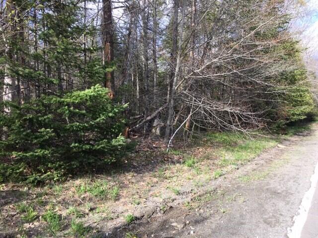 Lot 302 Stream Road St. Albans, ME 04971 - Photo 4 of 6 Land 4