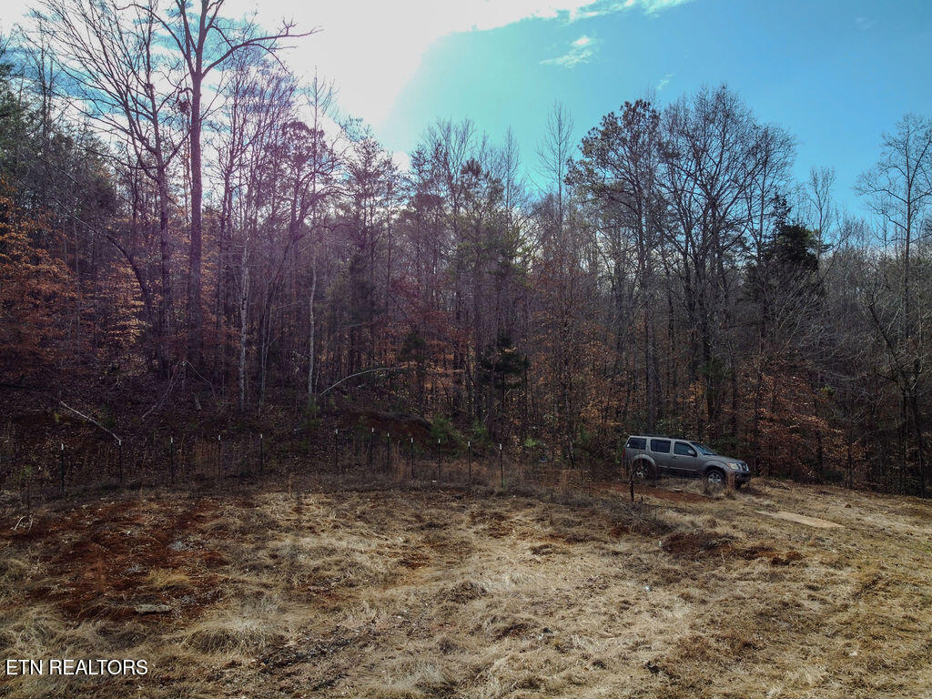 210 County Road 655 Riceville, TN 37370 - Photo 15 of 22 DJI_0770