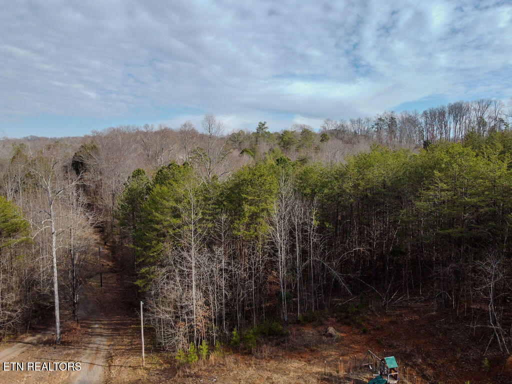 210 County Road 655 Riceville, TN 37370 - Photo 18 of 22 DJI_0773