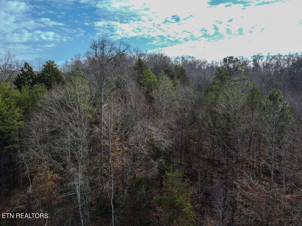 210 County Road 655 Riceville, TN 37370 - Photo 19 of 22 DJI_0774
