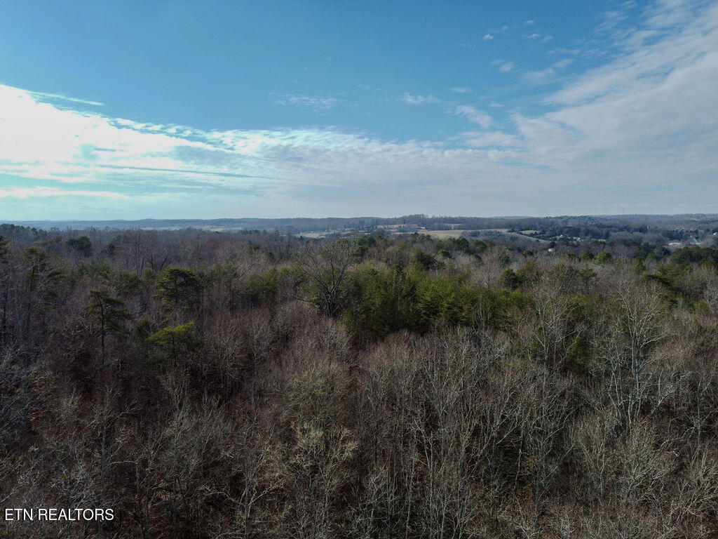 210 County Road 655 Riceville, TN 37370 - Photo 20 of 22 DJI_0775