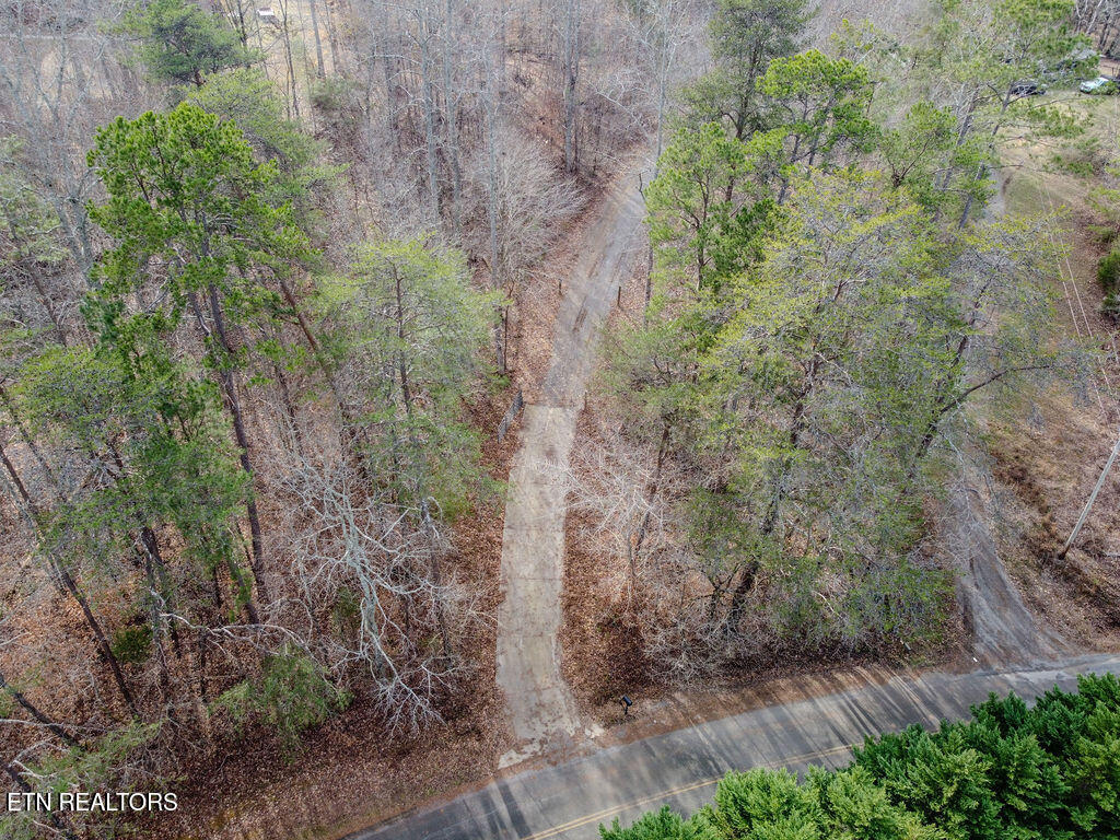 210 County Road 655 Riceville, TN 37370 - Photo 2 of 22 DJI_0755