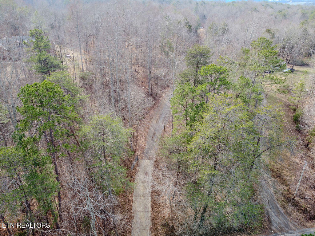 210 County Road 655 Riceville, TN 37370 - Photo 3 of 22 DJI_0756