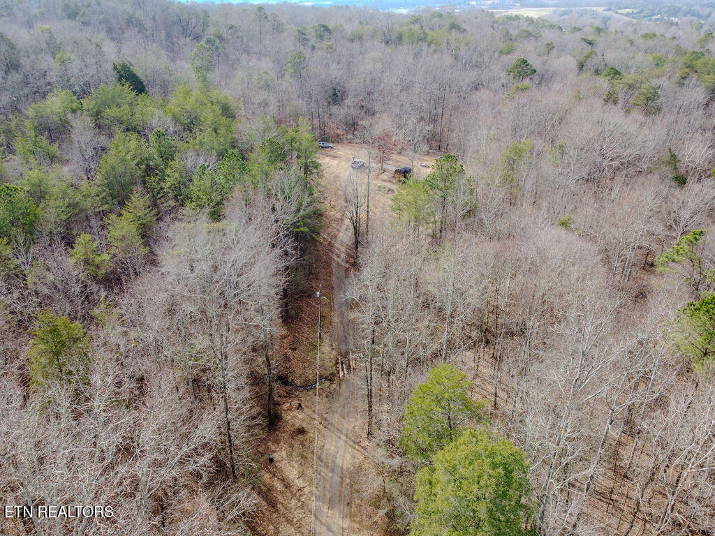 210 County Road 655 Riceville, TN 37370 - Photo 5 of 22 DJI_0758