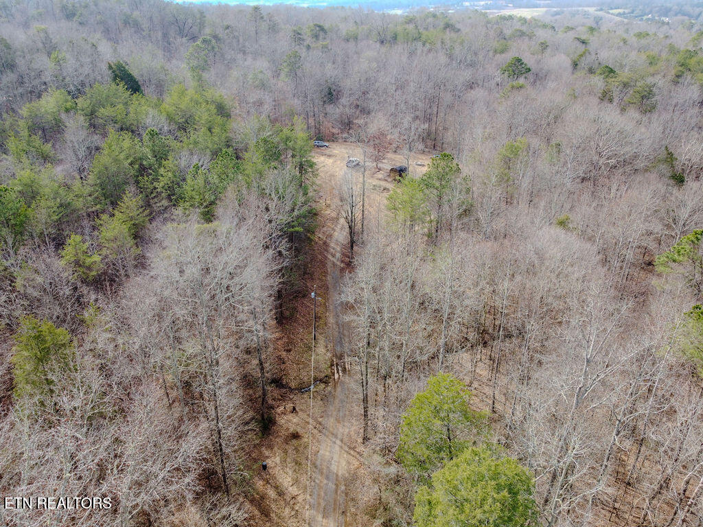 210 County Road 655 Riceville, TN 37370 - Photo 6 of 22 DJI_0759