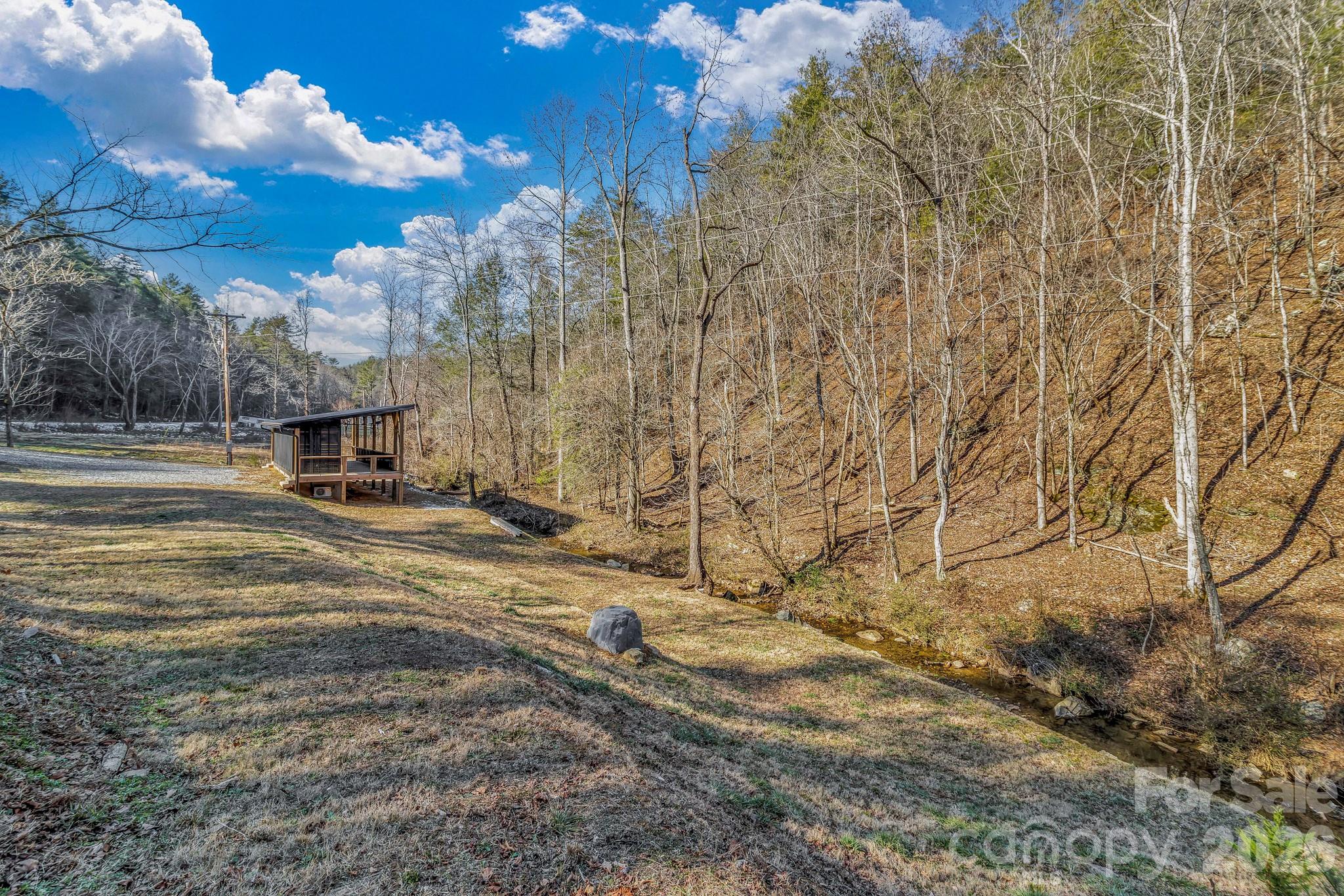 1115 Paint Rock Road Hot Springs, NC 28743 - Photo 3 of 25 Gallery Image 3