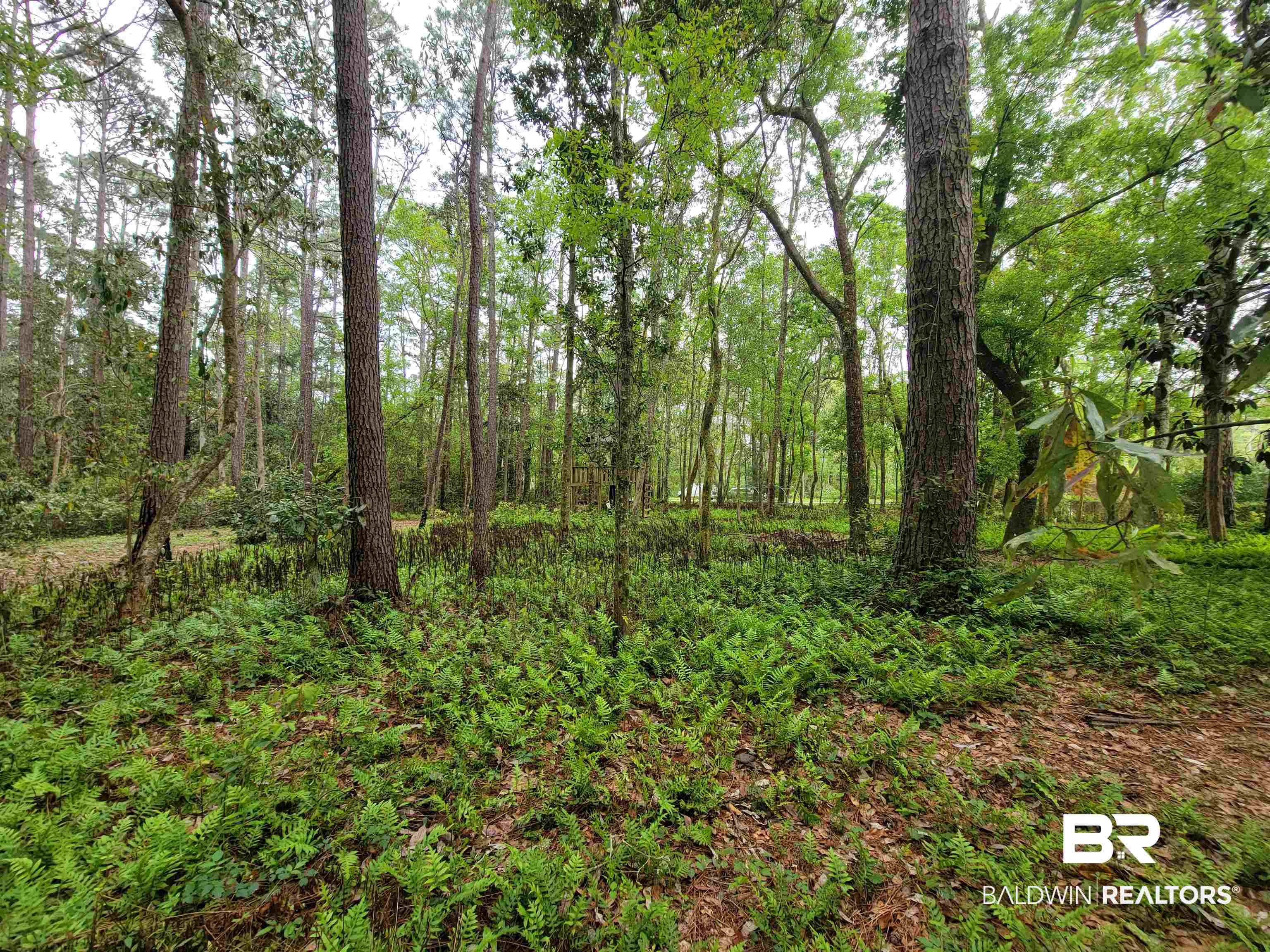 10 County Road Foley, AL 36535 - Photo 11 of 17 Gallery Image 11