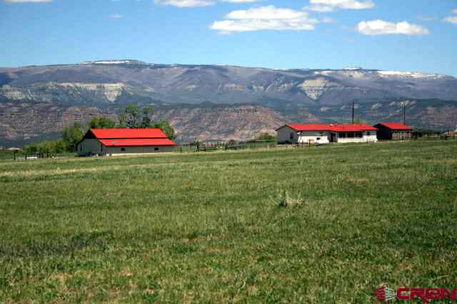 54783 Me Road Collbran, CO 81624 - Photo 1 of 13 Gallery Image 1
