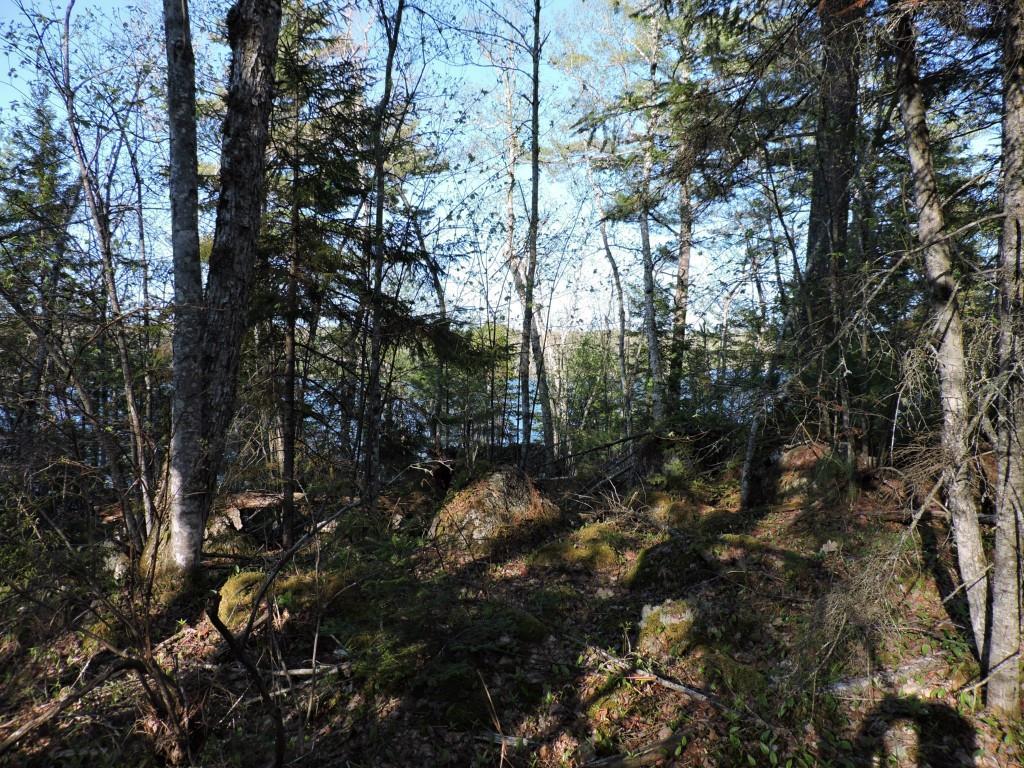 Lot #5 Short Point Way Orland, ME 04472 - Photo 1 of 11 Photo