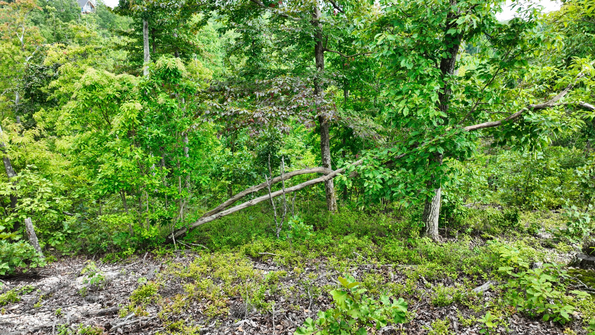 57 Ridge Top Road Stewart, TN 37175 - Photo 18 of 19 Gallery Image 18