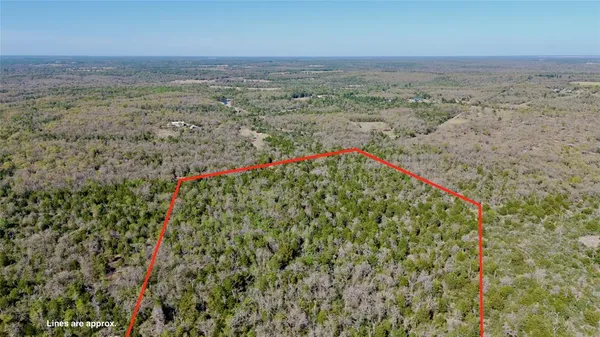 $250,000 | 100 Pr 617, Kosse, TX 76653