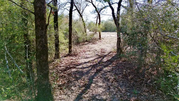 $250,000 | 100 Pr 617, Kosse, TX 76653