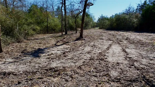 $250,000 | 100 Pr 617, Kosse, TX 76653