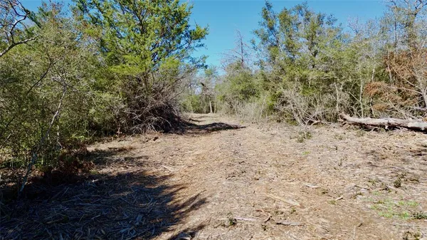 $250,000 | 100 Pr 617, Kosse, TX 76653