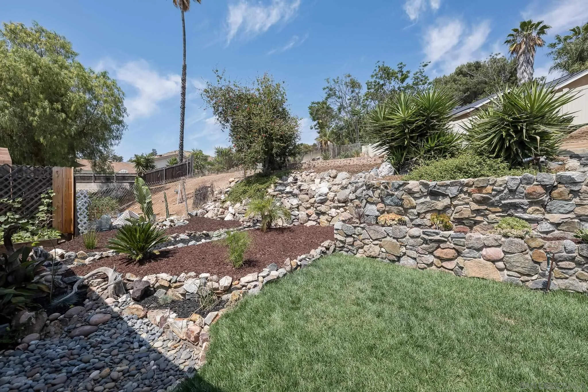 9731 Domer Road Santee, CA 92071 - Photo 27 of 32 a view of a garden with a tree