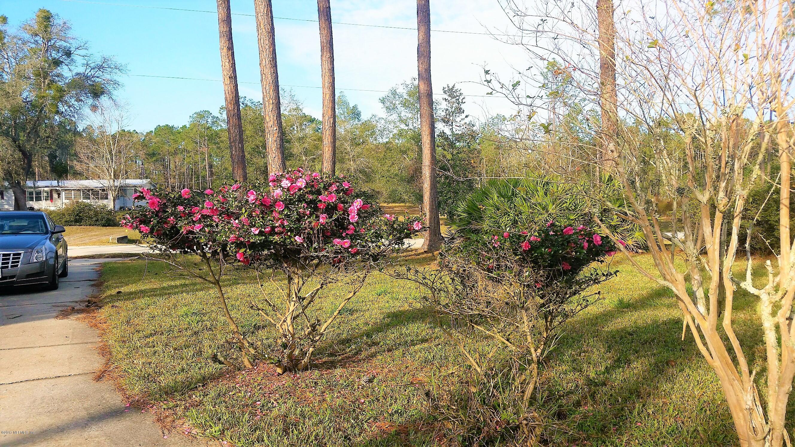 110 Osceola Road Georgetown, FL 32139 - Photo 27 of 29 Blooms