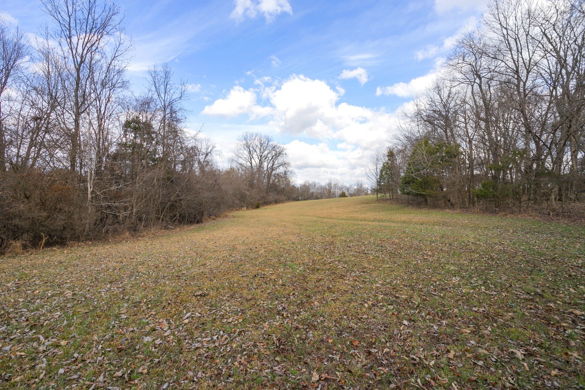 742 C Bates Road Lebanon, TN 37087 - Photo 57 of 59