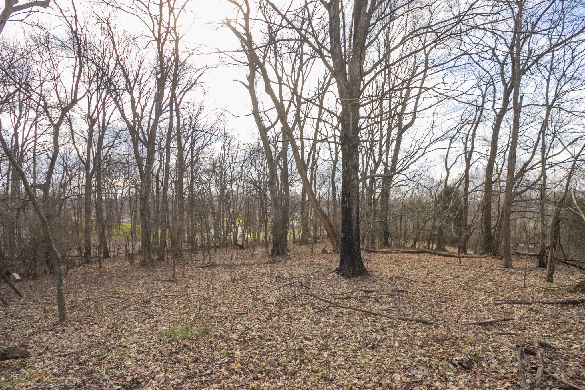 742 C Bates Road Lebanon, TN 37087 - Photo 58 of 59 a view of outdoor space with trees