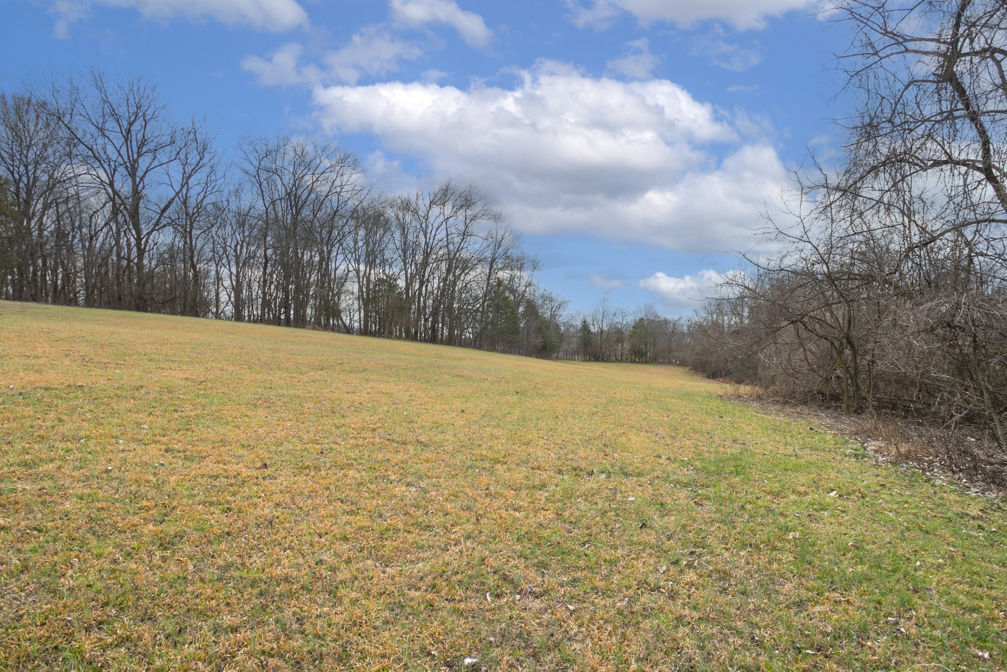 742 C Bates Road Lebanon, TN 37087 - Photo 59 of 59