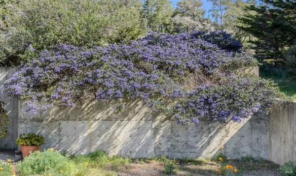 $1,740,000 | 39074 Hedgegate Road, The Sea Ranch, CA 95497