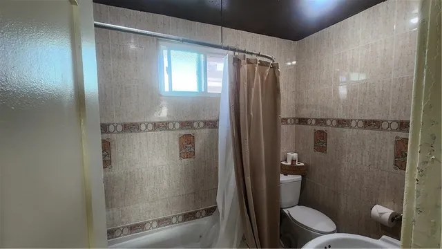 a bathroom with a shower and toilet