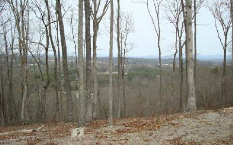 Lot 9 Mineral Springs Ridge Blue Ridge, GA 30513 - Photo 1 of 1 Main View