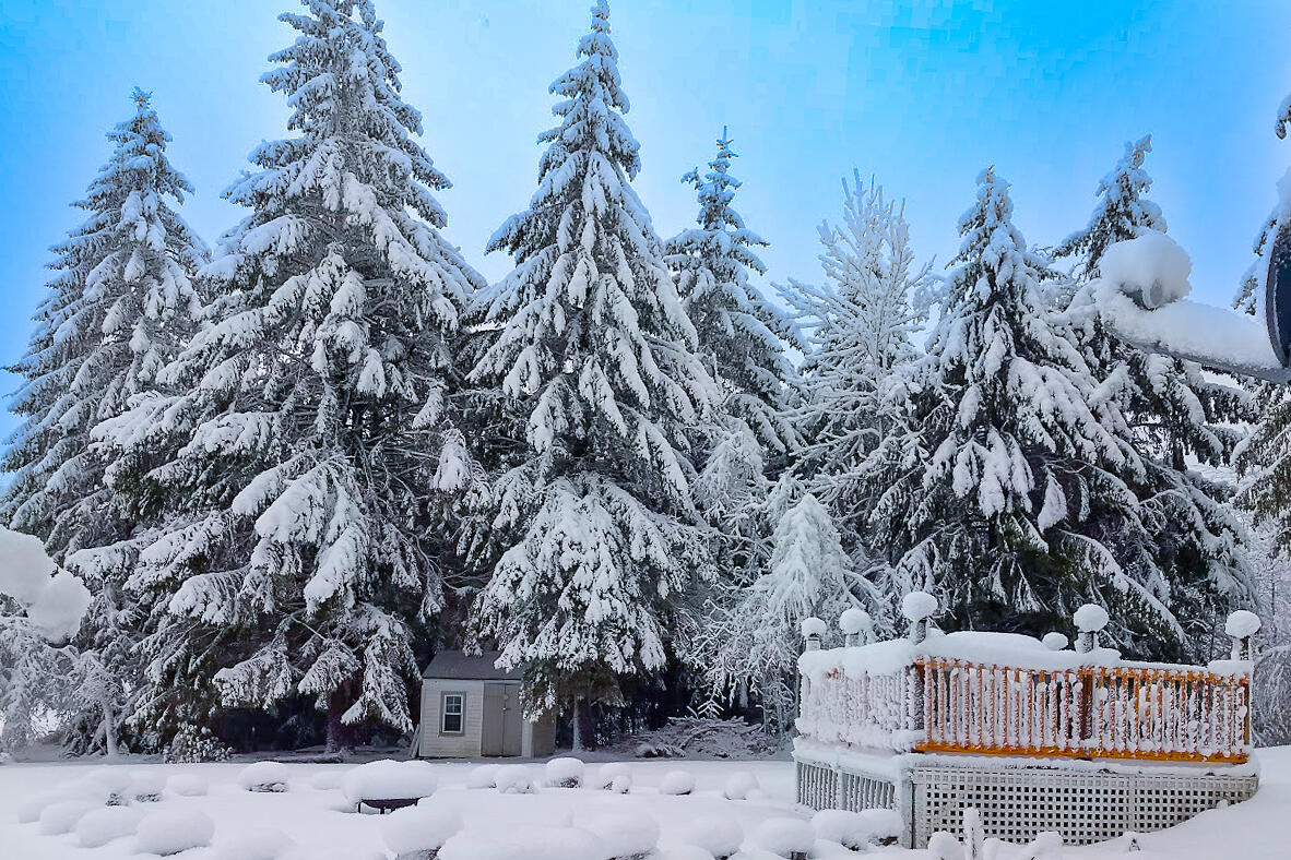 47 Castle Road Harmony, ME 04942 - Photo 48 of 49 Owner Photos Winter