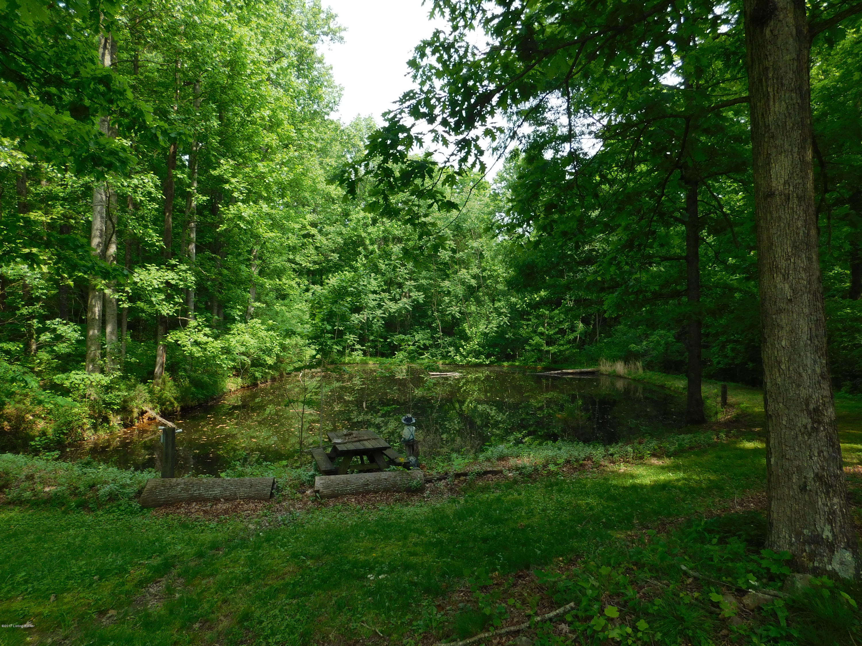 5862 Grayson Springs Road Clarkson, KY 42726 - Photo 25 of 29 DSCN0916
