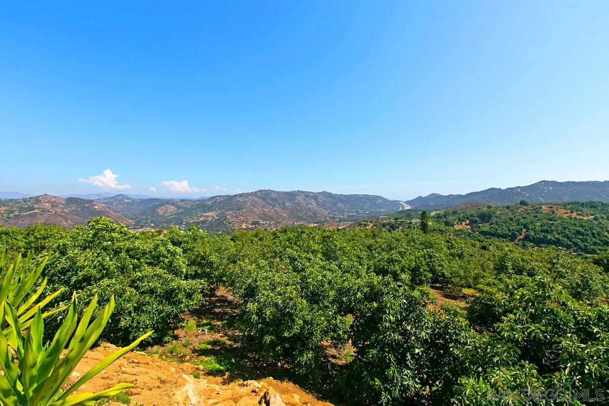 1629 Wild Acres Road Vista, CA 92084 - Photo 20 of 34 a view of a lush green space with a mountain in the background
