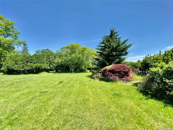 a view of a garden with a house in the background