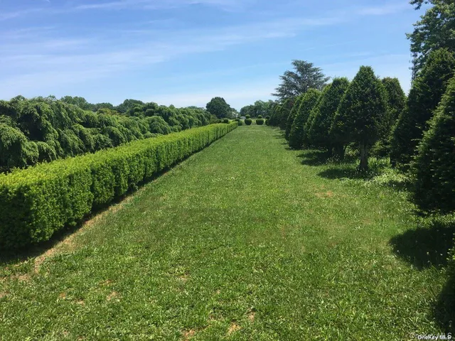 a view of a green field with lots of bushes