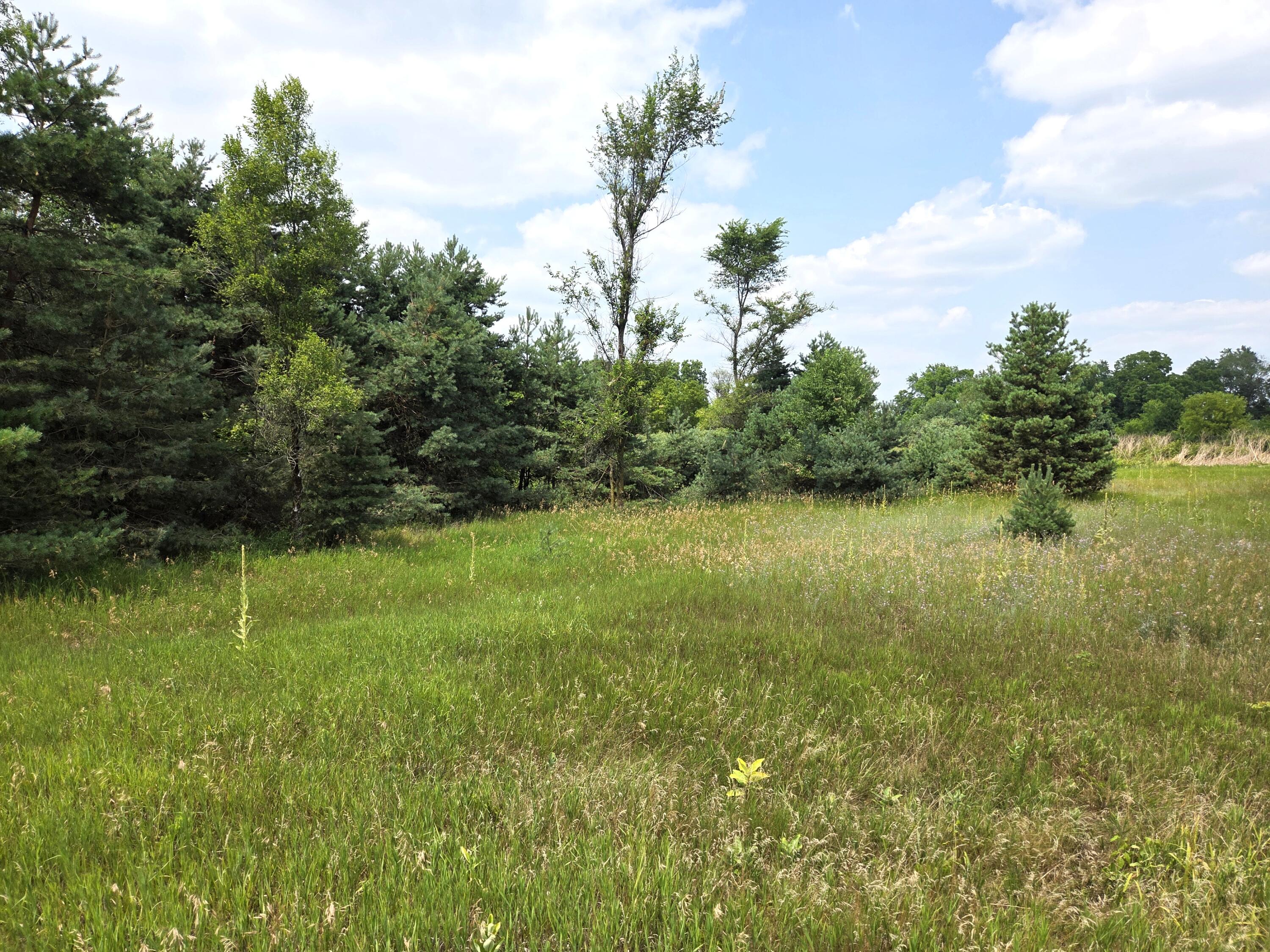 0 West Stanton Road Trufant, MI 49347 - Photo 4 of 11 9769a
