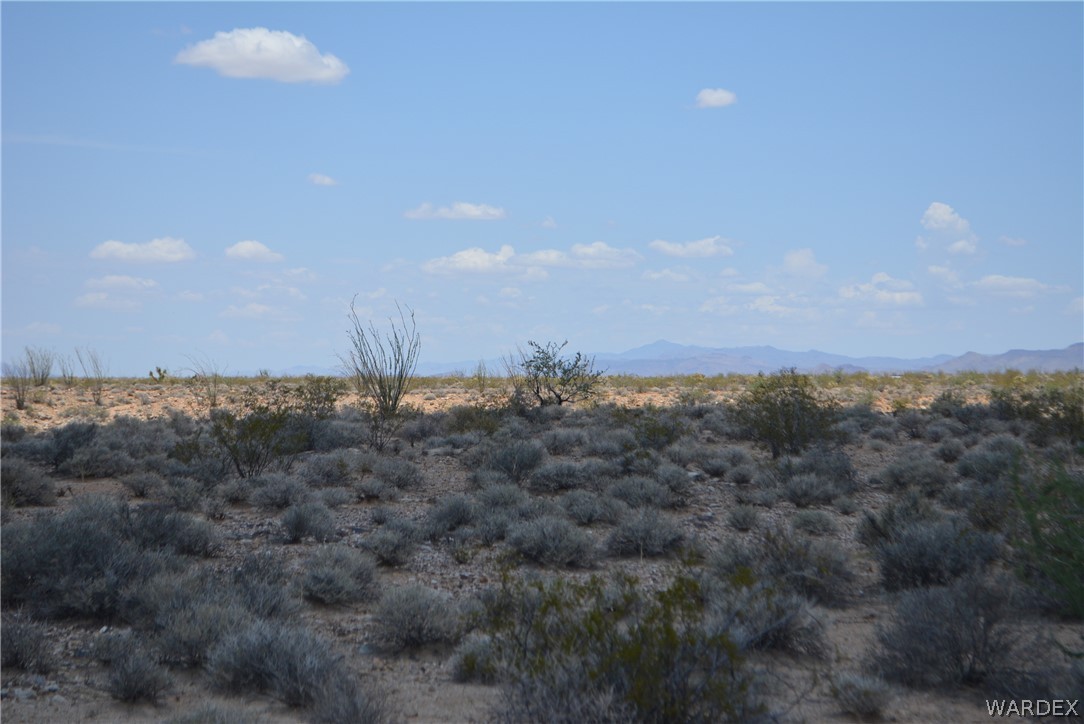 208-24-134 Cameron Road Yucca, AZ 86438 - Photo 21 of 86