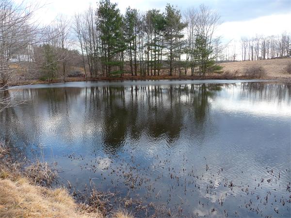 5 Gold Nugget Road Spencer, MA 01562 - Photo 26 of 30 Gallery Image 26