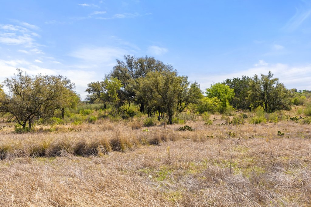 9580 Smith West Ranch Road Round Mountain, TX 78663 - Photo 13 of 26