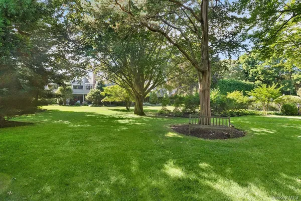 a view of green field with trees
