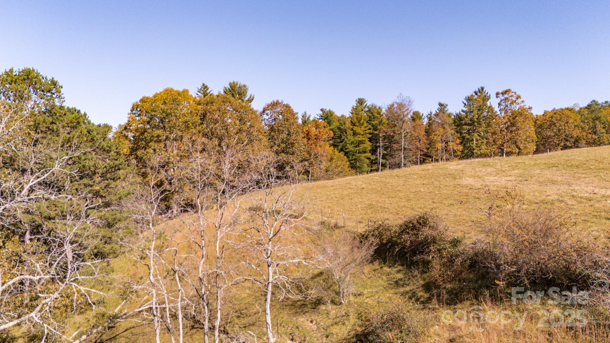 318 Monticello Road Weaverville, NC 28787 - Photo 11 of 16